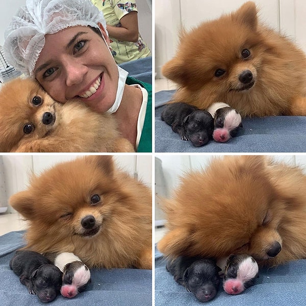 3. Гордая мама