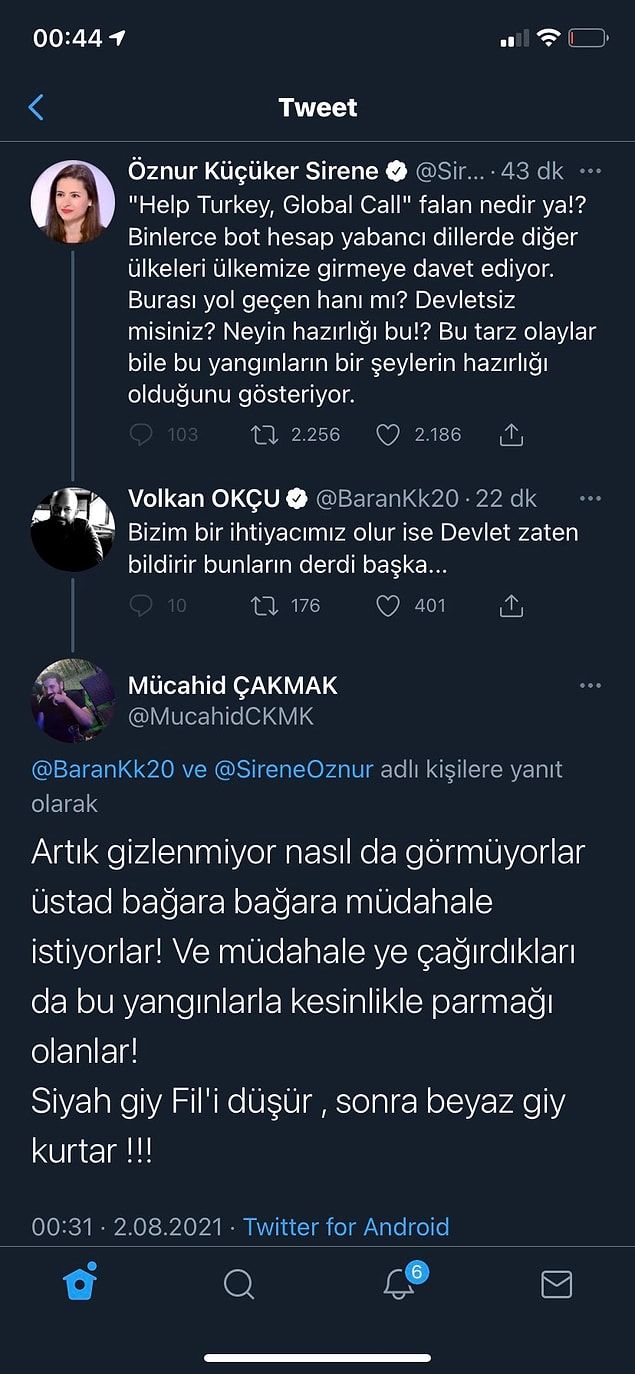 Yangınların işgale zemin oluşturmak için çıkarıldığı iddiası bile vardı.