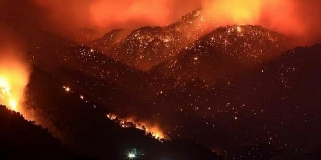 Şu görüntüye iyice bakın: yanan sadece ormanlar değil, geleceğimiz aynı zamanda!