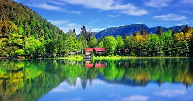 Artvin!