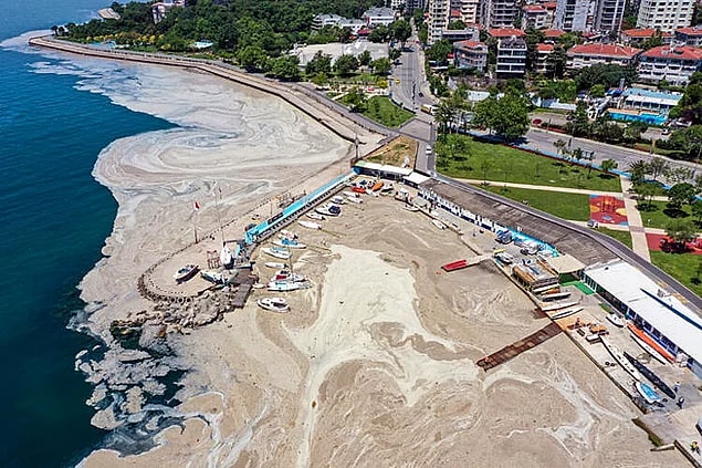 15. Denizlerimizin müsilaja ve deniz salyasına boğulması,