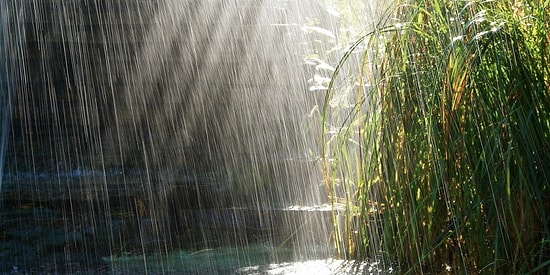 Dinlerken Kokusunu Alıyor İnsan! Yağmur Sesinin Büyülü Tınısını İçinde Barındıran 13 Şarkı