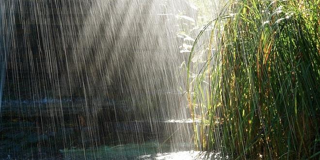 Dinlerken Kokusunu Alıyor İnsan! Yağmur Sesinin Büyülü Tınısını İçinde Barındıran 13 Şarkı