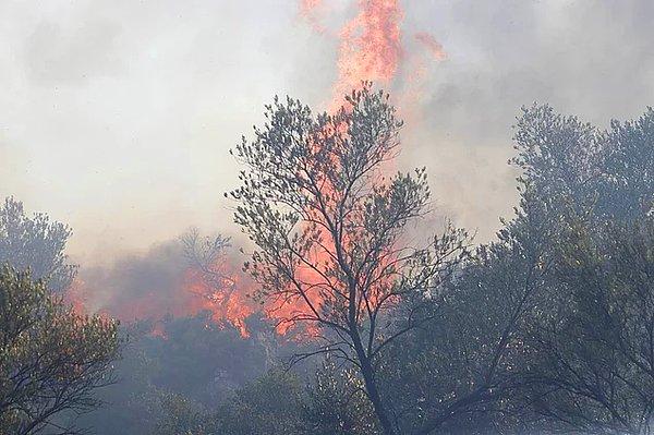 Hangi İlde Orman Yangınları Devam Ediyor?