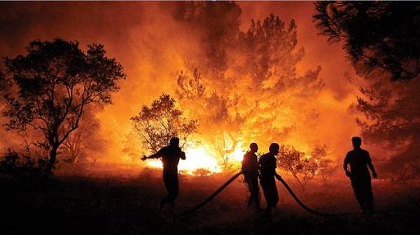 Yangınların başlangıcından bu yana 547 bin dekarlık alan yok oldu; ormanlarımız alev alev yandı ve biz hiçbir şey yapamadık.