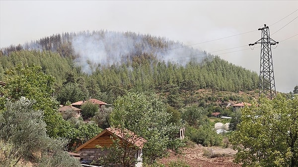 12: 20 Pakdemirli: Karabük merkez ve Adana-Feke orman yangınları kontrol altına alındı