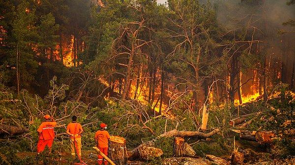 15. Ülkemizde de günlerce dur durak bilmeyen orman felaketleri ciğerimizi yaktı...