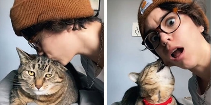 Владельцы проверили реакцию своих питомцев на неожиданные поцелуи и вот 20 самых забавных из них