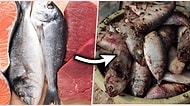 Herkesin Aklına En Az Bir Kez Gelmiştir: Deniz Ürünleri Ete Göre Neden Daha Hızlı Bozulur?