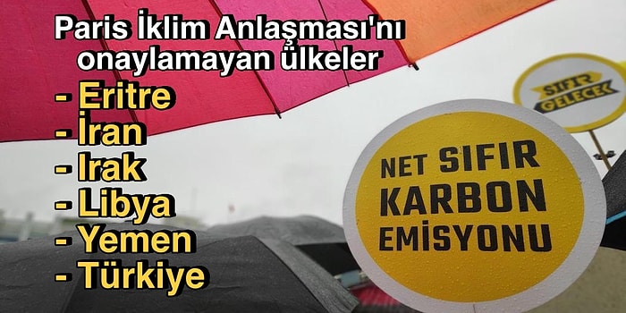 Kontrolsüz Yangınlar, Müsilaj Gibi Örnekler Varken İklim Krizine Karşı Anlaşmaya Artık Taraf Olmamız Gerek!