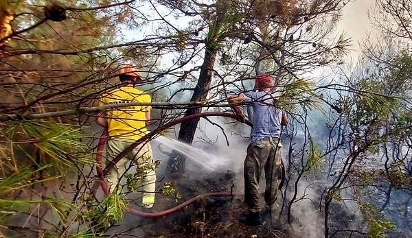 20:40 | Çanakkale'nin Ezine ilçesinde çıkan orman yangını, ekiplerin havadan ve karadan müdahalesiyle söndürülmeye çalışılıyor.