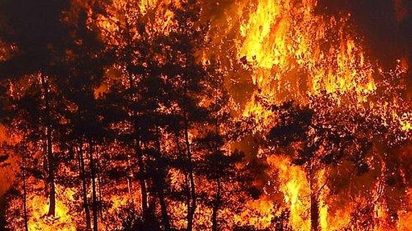 Bildiğiniz üzere ülkemizin dört bir yanında orman yangınları hala devam ediyor.