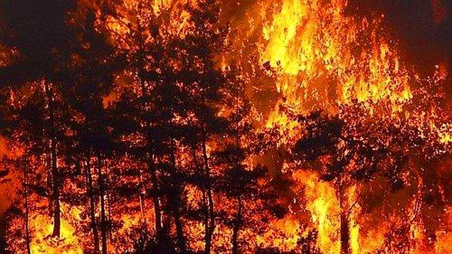 Bildiğiniz üzere ülkemizin dört bir yanında orman yangınları hala devam ediyor.