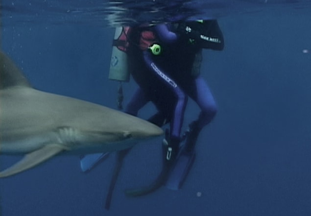 193. Open Water (2004)