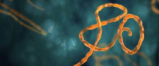 2. Ebola