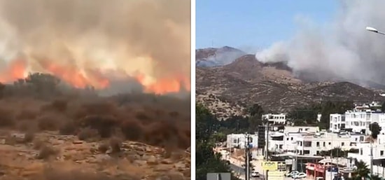 Yangınlarda Son Durum: Köyceğiz ve Bodrum'da Alevler Şiddetlendi