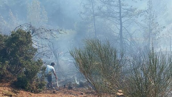 Muğla, Antalya ve Aydın'daki diğer yangınlarda durum ne?