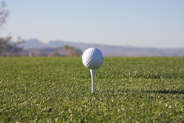 Araştırmalar üzerine ölüm sebebi anlaşılmış. Her atıştan sonra ağzına aldığı golf topluğu olan tee'nin üzerinde bol miktarda çimleri temiz tutmak için kullanılan mantar öldürücü ilaç varmış.
