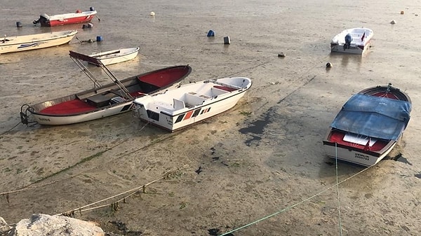 'Müsilaja neden olan stres koşullarını yok etmememiz gerekir'