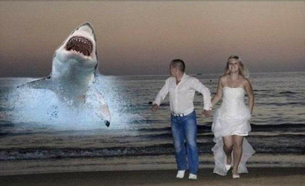 6. Sharknado: Düğünde 😂