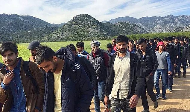 Mülteci krizi son zamanlarda artan tepkilerle etkileşim almak isteyen hesapların yarattığı "yanlış bilgi krizine" dönüştü.