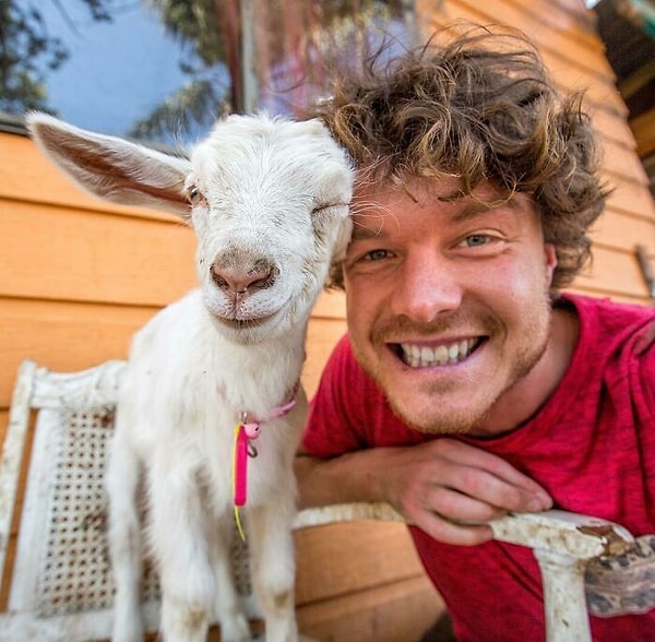 16. Кажется, вы понравились этой козочке