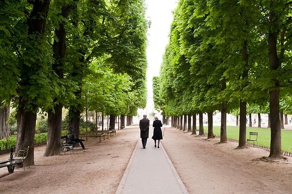 8. Paris'te bulunan 530 bin ağaç kayıt altındadır.