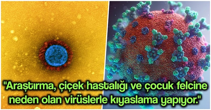 Yapılan Yeni Çalışmalar Sonucunda Koronavirüsü Yeryüzünden Silmenin Mümkün Olduğu Ortaya Çıktı