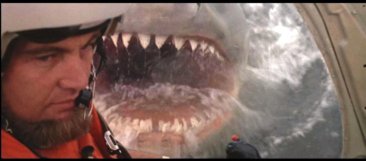 Снял триллер челюсти. Jaws 2 1978. Челюсти 2 jaws 2 1978.