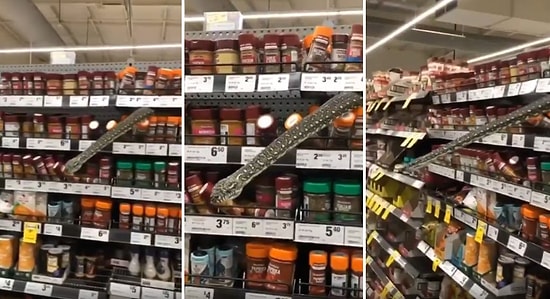 Avustralya'da Bir Marketin Raflarının Arasından Piton Çıktı