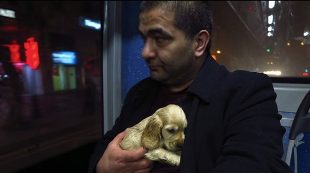 Kimi zaman sahibinin kucağında, toplu taşıma araçlarında da görürsünüz onlardan. Fakat sanıyor musunuz ki onların karış karış gezmek için birilerine ihtiyacı var? Bakın sizi şimdi kiminle tanıştıracağız!