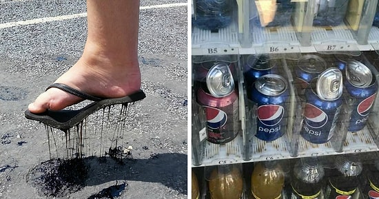 15 неповторимых фото, показывающих, насколько сильно повлияла летняя жара на людей и животных