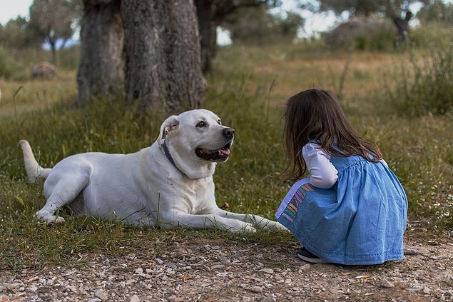 Surtout quand les enfants sont habitués à la présence d'un animal dans leur maison, ils ne peuvent pas comprendre sa mort et peuvent avoir des problèmes psychologiques.