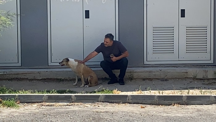 Sosyal Medyada Gündem Olan 'Daire 16' Konuştu: 'Hiç Kimse Köpük'ü Barınağa Gönderemez'