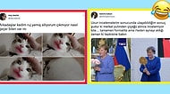 Ruj Yiyen Kediden Angela Merkel'e Çiçek Veren Putin'e Son 24 Saatin Twitter'da Viral Olan Paylaşımları