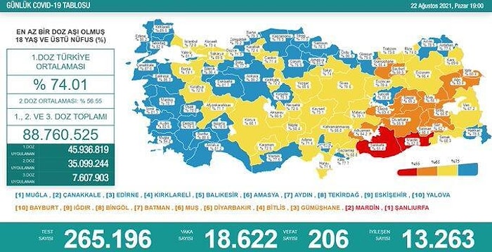 Koronavirüs Türkiye: 18 Bin 622 Yeni Vaka, 206 Ölüm...