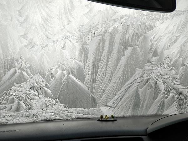 7. Hayır bu bir sanat eseri değil sadece donmuş bir araba camı.