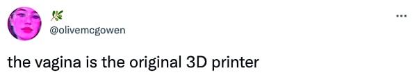15. "Vajina orijinal 3D yazıcıdır."