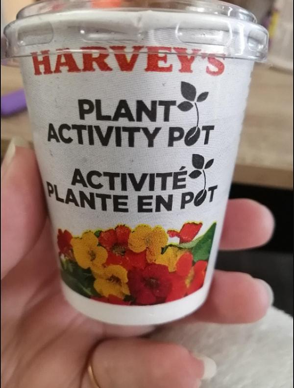 6. Harvey's (Kanada), çocuk menülerinin yanında oyuncak yerine bitki yetiştirme kiti veriyor.