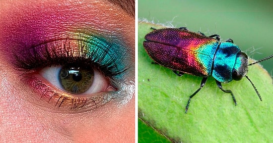 Мейкап художница демонстрирует красоту насекомых с помощью своих образов для макияжа