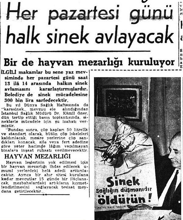İlaçlama çabaları da sonuç vermiyordu. At arabalarının da çokluğuyla İstanbul'da sinek varlığı oldukça arttı. Bu durumun giderek büyümesiyle gazeteler kara sinekleri kovmak için yöntemler gibi haberler yapıyorlardı.