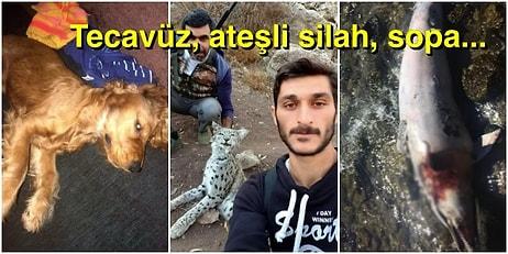 Türkiye'nin Hayvanlar İçin Bir Cehennem Olduğunu Gösteren Tüyler Ürpertici Olaylara Bakınca Küfür Edeceksiniz