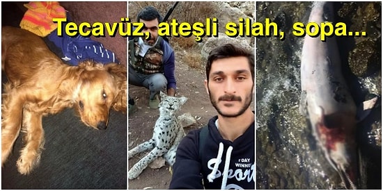 Türkiye'nin Hayvanlar İçin Bir Cehennem Olduğunu Gösteren Tüyler Ürpertici Olaylara Bakınca Küfür Edeceksiniz