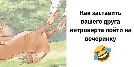 16 самых смешных и саркастических описаний к картинкам из WikiHow, которые поднимут вам настроение