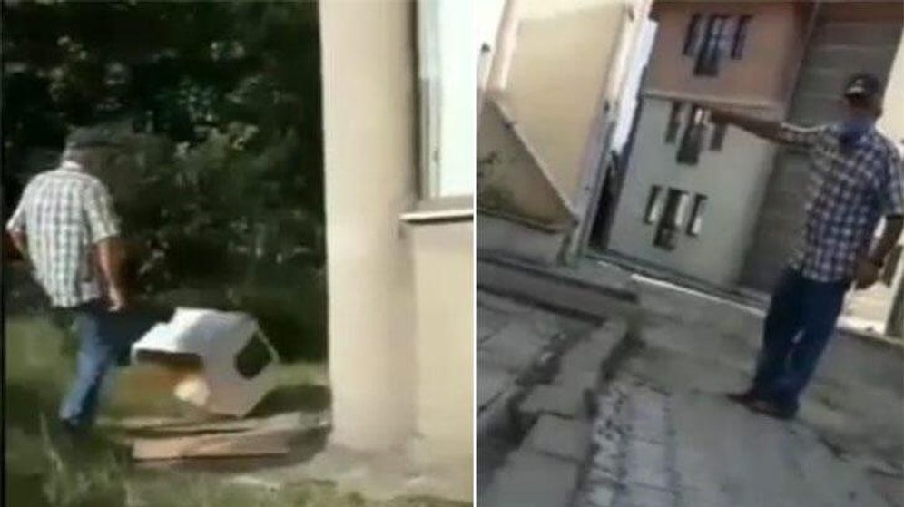 Bolu'da Bir Kişi, Komşularının Beslediği Sokak Kedisini ve Kulübesini Tekmeledi