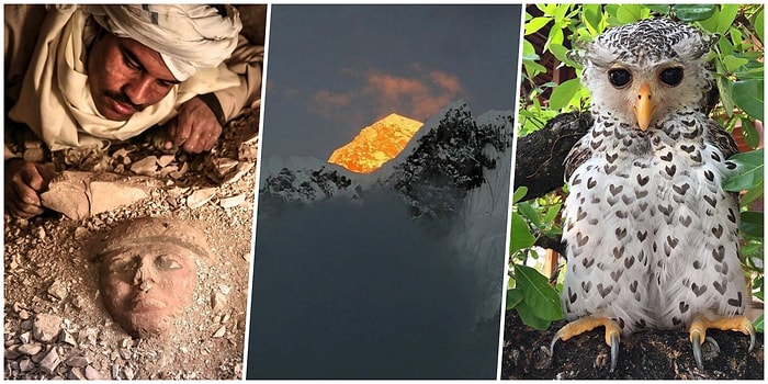 Karşılaştığınızda Dünyamızdan Haberdar Olmanızı ve Yepyeni Bilgiler Edinmenizi Sağlayacak 19 Tweet