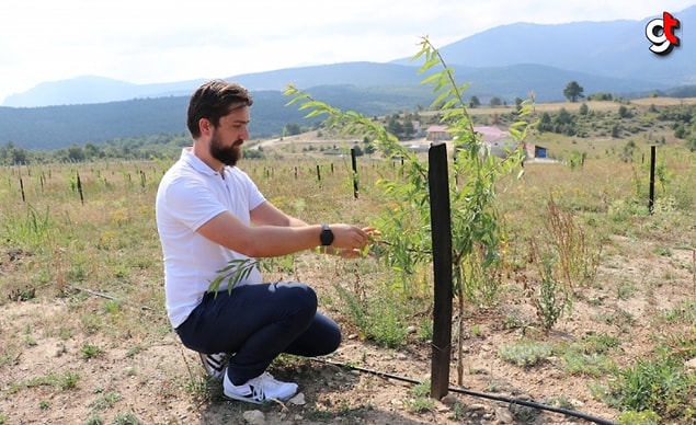 Genç çiftçi akabinde ülkemizde ve dünyada pek çok alanda kullanılan safran üretimine başlamış.