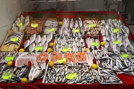 Marmara Balığı Yenir Mi, Sağlığa Zararlı Mı? Marmara Denizi Müsilaj Sorunu Son Durum...