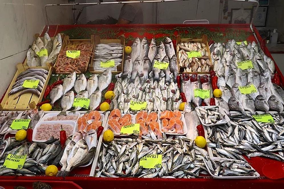 Marmara Balığı Yenir Mi, Sağlığa Zararlı Mı? Marmara Denizi Müsilaj Sorunu Son Durum...