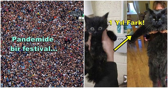 Okuduğunuz Zaman Ufak Çaplı Bir Şaşkınlık Yaşayacağınız Birbirinden İlginç Bilgiler